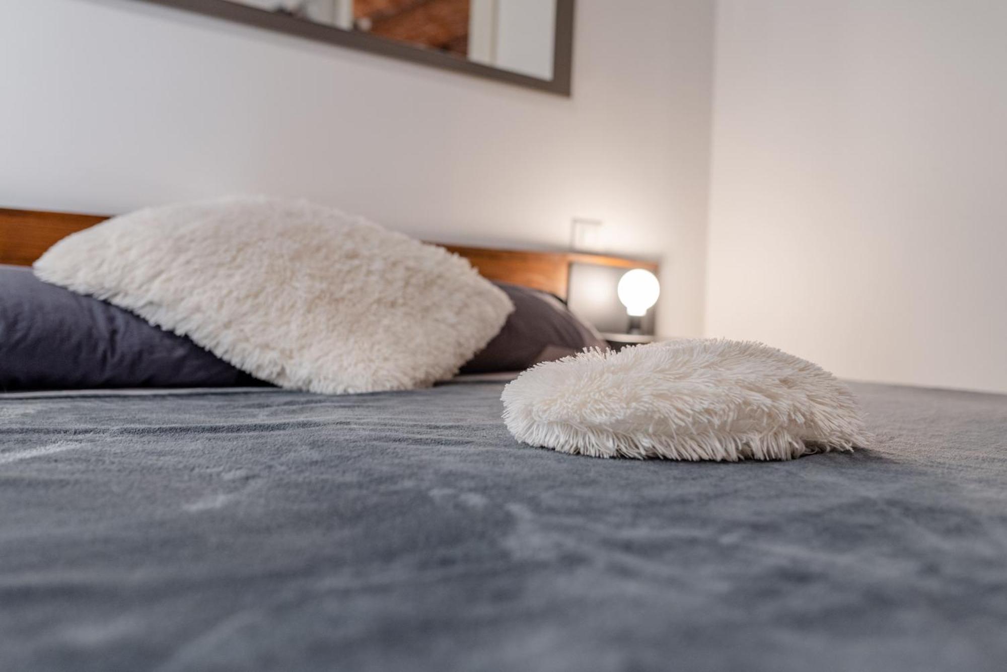 Suite & Queen Apartments Turyn Zewnętrze zdjęcie